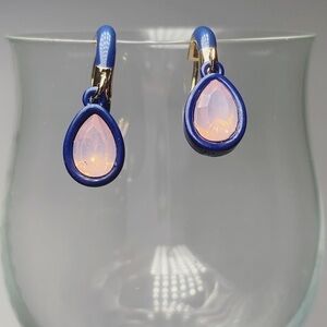 Blue earrings with pink gem in the middle